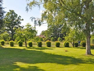 Blick in den Garten (vor dem Haus)