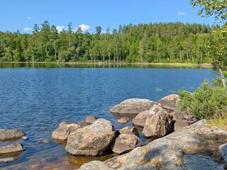 Beste Bade- und Angelbedingungen im See