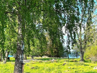 Vakantiehuis Gardsjö Buitenaudio-opname 5