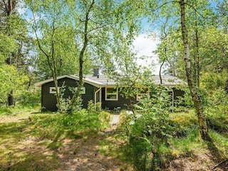 Ferienhaus Bording  4