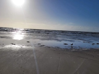 Vakantiehuis Blåvand  31