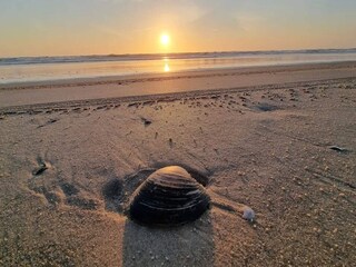 Vakantiehuis Blåvand  11