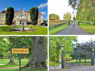 Impressionen vom Gutshof "Ribbingshof"