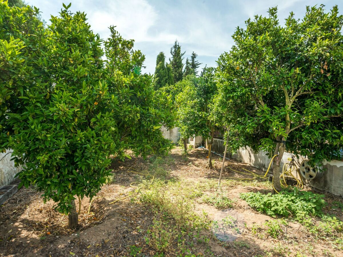 Villa Barbate Registrazione all'aperto 1