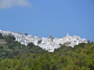 Villa Barbate Environment 31
