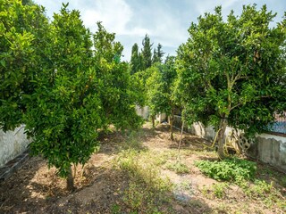 Villa Barbate Buitenaudio-opname 2