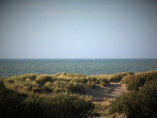 Apartment De Haan Environment 40