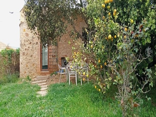Ferienhaus Palafrugell Außenaufnahme 7