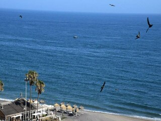 Ferienhaus Algarrobo Außenaufnahme 4