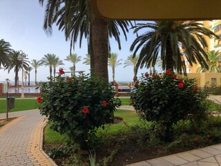 Ferienhaus Algarrobo Außenaufnahme 5