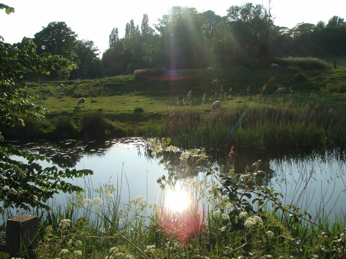 Cottage Fairfield (Kent) Umgebung 20