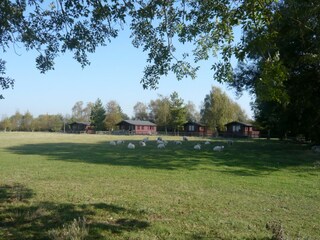 Maison de vacances Fairfield (Kent) Environnement 26