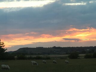 Holiday cottage Fairfield (Kent)  34
