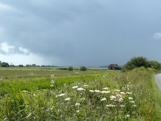 Maison de vacances Fairfield (Kent) Environnement 30