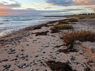 Ferienhaus Dannemare Außenaufnahme 15