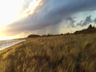 Vakantiehuis Dannemare Buitenaudio-opname 2