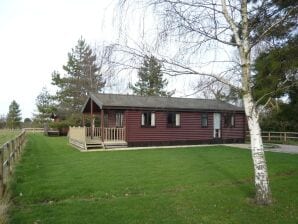 Ferienhaus Lodge auf dem Lande mit schöner Aussicht - Fairfield (Kent) - image1