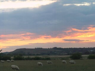 Holiday cottage Fairfield (Kent) Outdoor Recording 3