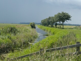 Vakantiehuisje Fairfield (Kent) Omgeving 40