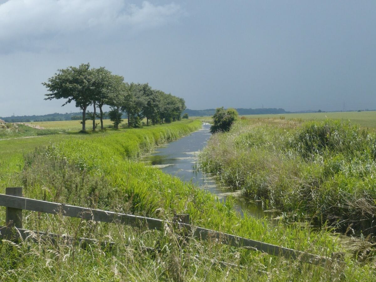 Cottage Littlestone-on-Sea Umgebung 24