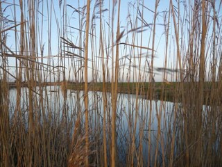 Maison de vacances Littlestone-on-Sea Environnement 23