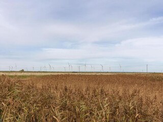 Cottage Littlestone-on-Sea Umgebung 27