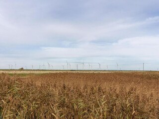 Cottage Littlestone-on-Sea Umgebung 31