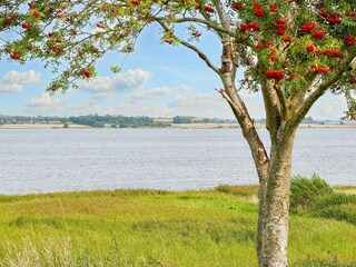 Holiday house Jægerspris Outdoor Recording 5