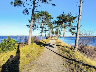 Casa de vacaciones Jægerspris  25