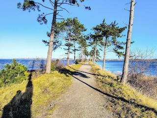 Holiday house Jægerspris  22