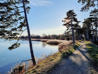 Casa de vacaciones Jægerspris  16