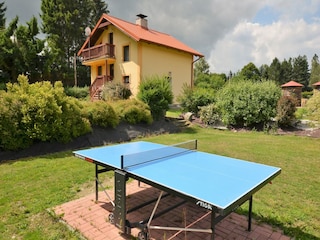 Vakantiehuis Konstantinovy Lazne Buitenaudio-opname 4