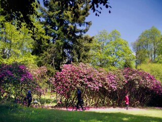 Vakantiehuis Konstantinovy Lazne Omgeving 26