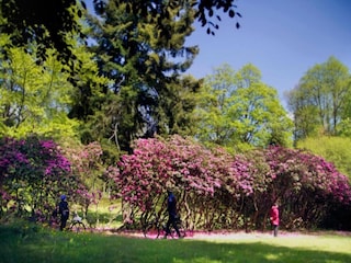 Vakantiehuis Konstantinovy Lazne Omgeving 27
