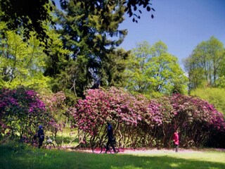 Vakantiehuis Konstantinovy Lazne Omgeving 27