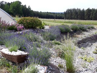 Maison de vacances Konstantinovy Lazne Enregistrement extérieur 5