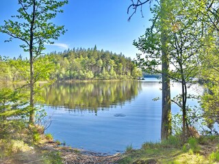 Bade- und Angelsee (6 km vom Haus entfernt)