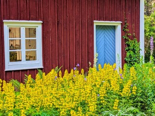 blühender Garten vor dem Haus