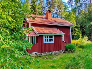 Blick aus dem Garten auf die Rückseite des Hauses