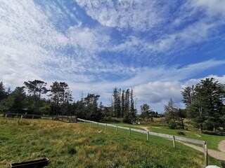 Ferienhaus Nørlev Strand  22