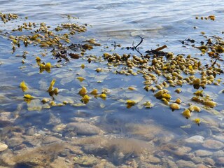 Holiday house Rørvig  5