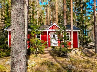 Blick auf das moderne Ferienhaus in herrlicher Waldlage