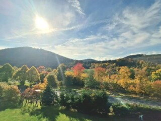 Appartement Olsberg Omgeving 23