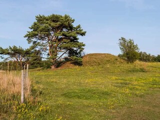 Maison de vacances Frederiksværk  35
