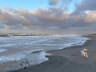 Maison de vacances Frederiksværk  29