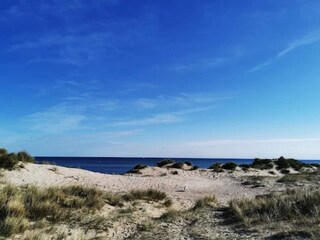 Maison de vacances Frederiksværk  16