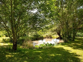 Vakantiehuis Saint-Martin-de-Gurson Omgeving 34