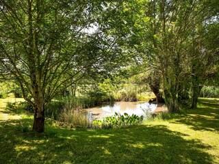 Casa de vacaciones Saint-Martin-de-Gurson Entorno 31