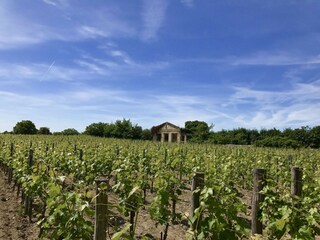 Vakantiehuis Saint-Martin-de-Gurson Omgeving 29