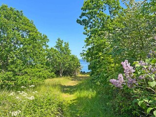 Ferienhaus Allinge  12